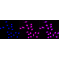 LifeSab™ CASP10 Rabbit mAb (20 μl)