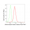 LifeSab™ ADRB2 Rabbit mAb (20 μl)