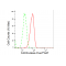 LifeSab™ FADD Rabbit mAb (20 μl)