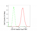 LifeSab™ CD147 Rabbit mAb (20 μl)