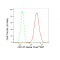 LifeSab™ CD147 Rabbit mAb (20 μl)