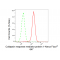 LifeSab™ CRMP1 Rabbit mAb (20 μl)