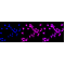 LifeSab™ CRMP1 Rabbit mAb (20 μl)