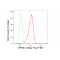 LifeSab™ CPEB1 Rabbit mAb (20 μl)