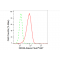 LifeSab™ DDX6 Rabbit mAb (20 μl)