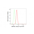 LifeSab™ AMHR2 Rabbit mAb (20 μl)