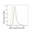 LifeSab™ DDX17 Rabbit mAb (20 μl)