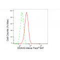 LifeSab™ DDAH2 Rabbit mAb (20 μl)