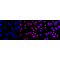 LifeSab™ DDAH2 Rabbit mAb (20 μl)