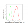 LifeSab™ CENPC Rabbit mAb (20 μl)