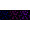 LifeSab™ CENPC Rabbit mAb (20 μl)