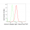 LifeSab™ ACVR1 Rabbit mAb (20 μl)