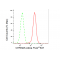 LifeSab™ CHRNA5 Rabbit mAb (20 μl)