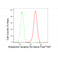 LifeSab™ BDKRB2 Rabbit mAb (20 μl)