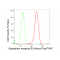 LifeSab™ BDKRB2 Rabbit mAb (20 μl)