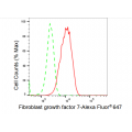 LifeSab™ FGF7 Rabbit mAb (20 μl)