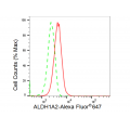 LifeSab™ ALDH1A2 Rabbit mAb (20 μl)