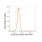 LifeSab™ ALDH1A2 Rabbit mAb (20 μl)