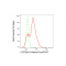 LifeSab™ CYP24A1 Rabbit mAb (20 μl)