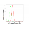 LifeSab™ EIF3B Rabbit mAb (20 μl)