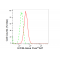 LifeSab™ EIF3B Rabbit mAb (20 μl)