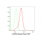 LifeSab™ AGR2 Rabbit mAb (20 μl)