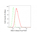 LifeSab™ RDC1 Rabbit mAb (20 μl)