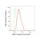 LifeSab™ RDC1 Rabbit mAb (20 μl)