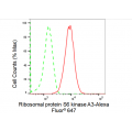 LifeSab™ p90RSK3 Rabbit mAb (20 μl)