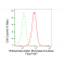 LifeSab™ p90RSK3 Rabbit mAb (20 μl)