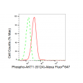 LifeSab™ Phospho-AKT1 (S124) Rabbit mAb (20 μl)