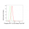 LifeSab™ Phospho-AKT1 (S124) Rabbit mAb (20 μl)