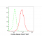 LifeSab™ Coilin Rabbit mAb (20 μl)