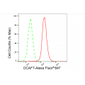 LifeSab™ DCAF7 Rabbit mAb (20 μl)