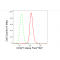 LifeSab™ DCAF7 Rabbit mAb (20 μl)