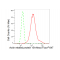 LifeSab™ ACTR1B Rabbit mAb (20 μl)