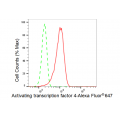 LifeSab™ ATF4 Rabbit mAb (20 μl)