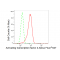 LifeSab™ ATF4 Rabbit mAb (20 μl)