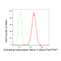 LifeSab™ ATF5 Rabbit mAb (20 μl)