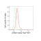 LifeSab™ AHSA1 Rabbit mAb (20 μl)