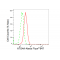 LifeSab™ ATG4A Rabbit mAb (20 μl)