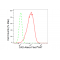 LifeSab™ CAD Rabbit mAb (20 μl)