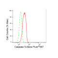 LifeSab™ CASP5 Rabbit mAb (20 μl)