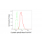 LifeSab™ CCR8 Rabbit mAb (20 μl)