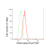 LifeSab™ CD22 Rabbit mAb (20 μl)