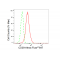 LifeSab™ CD38 Rabbit mAb (20 μl)