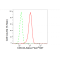 LifeSab™ CDC34 Rabbit mAb (20 μl)