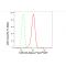 LifeSab™ CDC34 Rabbit mAb (20 μl)