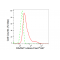 LifeSab™ DAZAP1 Rabbit mAb (20 μl)