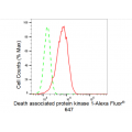 LifeSab™ DAPK1 Rabbit mAb (20 μl)